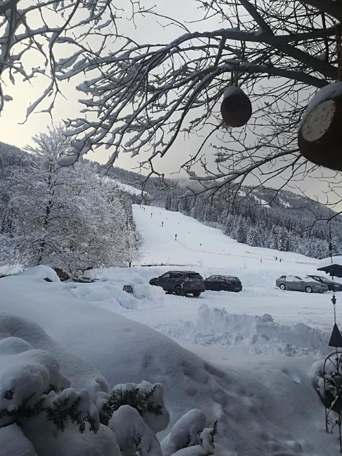 Pension Walchauhof Flachau Exterior photo