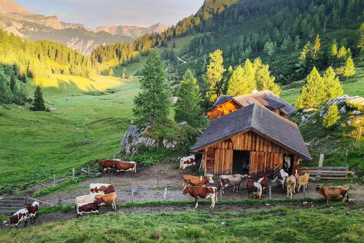 Pension Walchauhof Flachau Exterior photo